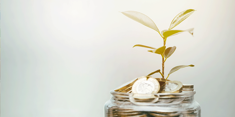 plant-growing-from-coins-maximsing-pension-value-in-divorce