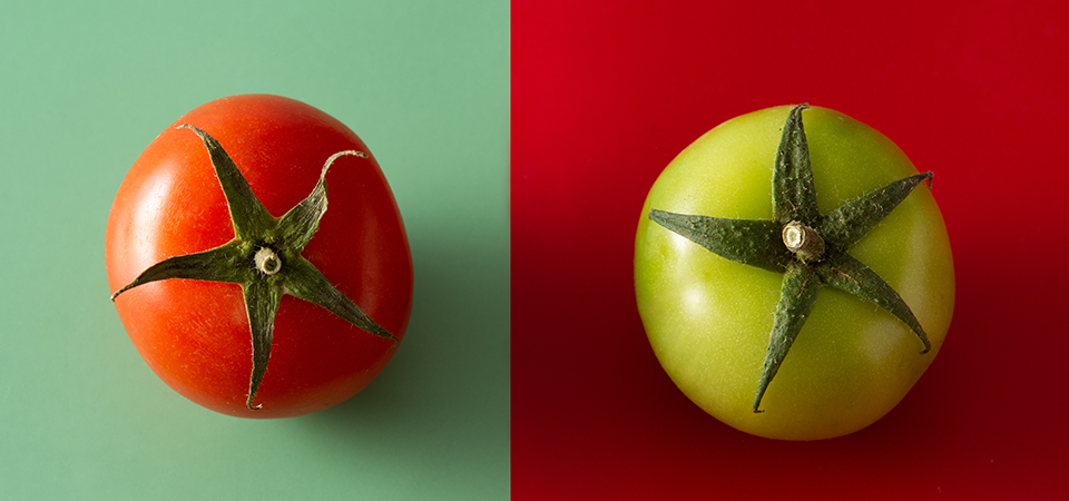 comparison-two-tomatoes-representing-share-sale-vs-asset-sale-blog-FEATURED-IMAG